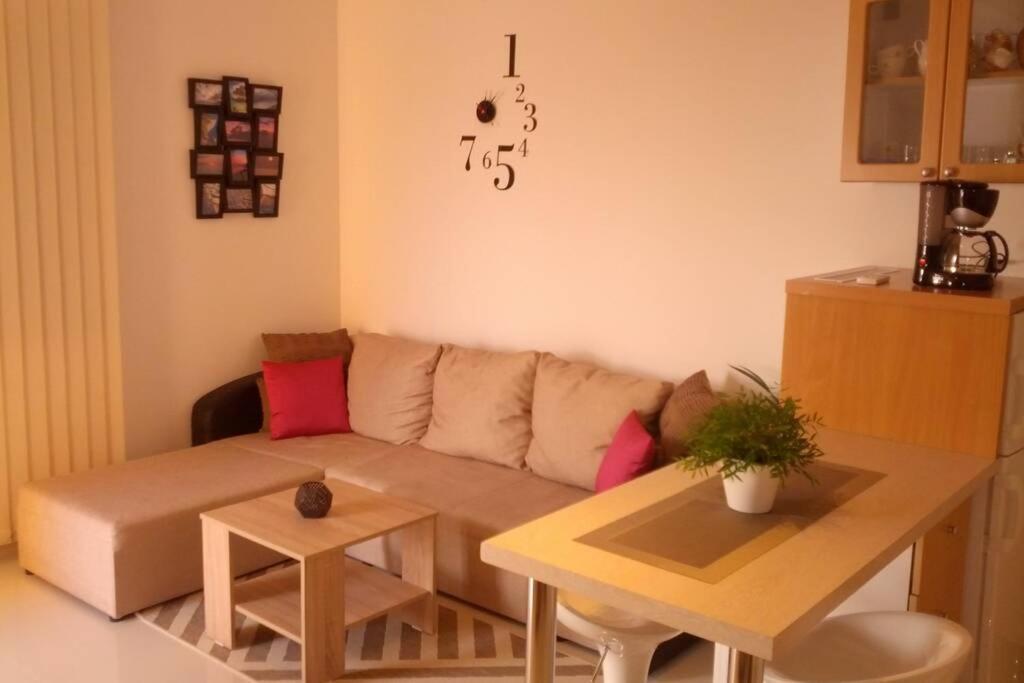 Apartment Dandelion เบรลา ภายนอก รูปภาพ