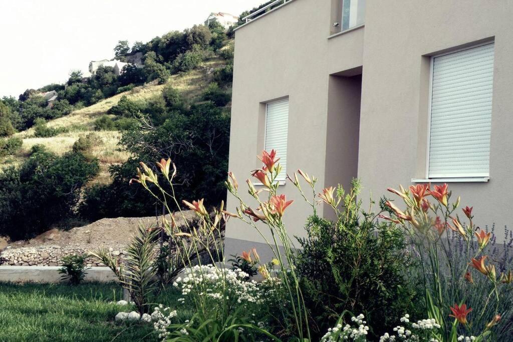 Apartment Dandelion เบรลา ภายนอก รูปภาพ
